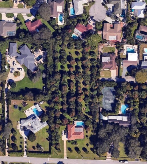 Aerial view of the grove at 1711 Carandis Rd, Lake Clarke Shores, showing a dense block of dark-green mango and avocado canopy surrounded by houses and backyard pools